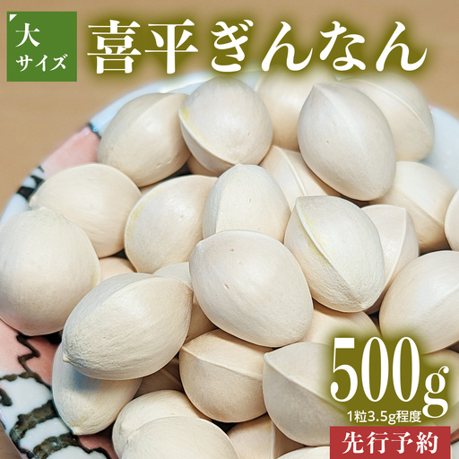 【先行予約】 喜平 ぎんなん 500g (1粒3.5g程度・大サイズ) 【2026年10月中旬より発送開始】 銀杏 野菜 おつまみ 茶碗蒸し 国産
