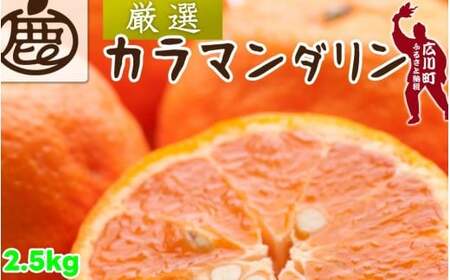 カラマンダリン 2.5kg+250g（痛み補償分） 厳選 / カラ カラオレンジ カラみかん 南津海 なつみ 高級 和歌山 有田 柑橘 晩柑 ※4月上旬～5月順次発送 ※北海道・沖縄・離島への配送不可 【ikd015-p-2d5B】