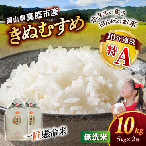 米 岡山県産精米 令和8年産きぬむすめ無洗米10kg [tkns008-02]