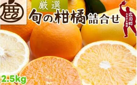 柑橘 詰合せ 2.5kg+250g（痛み補償分） 厳選 光センサー / 高級 みかん 不知火 清見 八朔 伊予間 セミノール レモン ３種類以上 詰め合わせ 晩柑 ※1月上旬～6月上旬頃に順次発送 ※北海道・沖縄・離島への配送不可 【ikd049-p-2d5C】