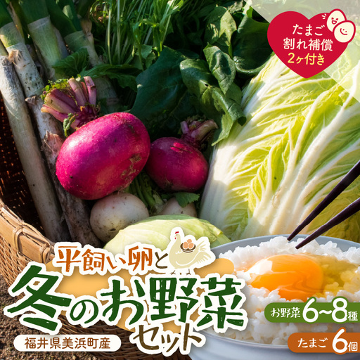 [先行予約]お野菜セット 旬の冬野菜と平飼い卵のお楽しみボックス[2026年12月上旬以降順次発送予定][m75-a001]