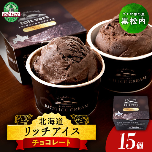 リッチアイスクリーム カカオ香るほどよい甘さのチョコレート 15個セット（100ml）