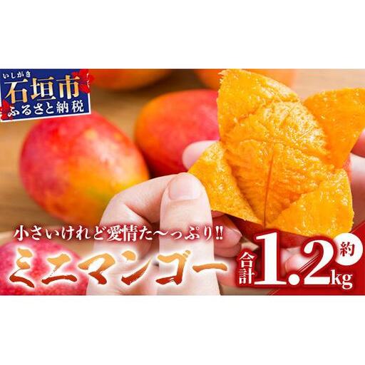 石垣島産ミニマンゴー