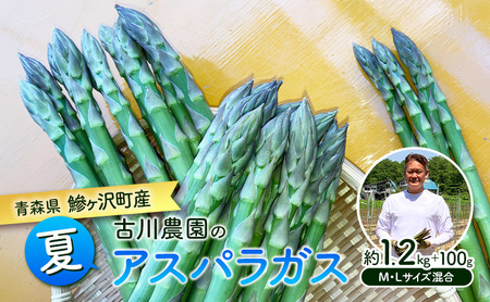先行予約 2026年 夏アスパラガス 約1.2kg +100g M〜L 混合 古川農園 ※オンライン決済限定 野菜 アスパラガス アスパラ 栄養豊富 ほんのり甘い 肉質しっかり あっさり おつまみ 料理