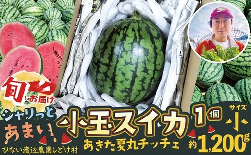 シャリっと甘い小玉スイカ!あきた夏丸チッチェ[小1個] 50P3424[ひない渡辺農園しどけ村]