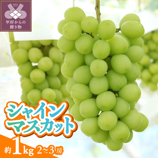 〈2026年度配送分〉甲府市産　シャインマスカット　約1.0kg（2～3房）