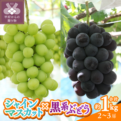 [2026年度配送分]甲府市産 シャインマスカット×黒系ぶどう 約1.0kg(2〜3房)