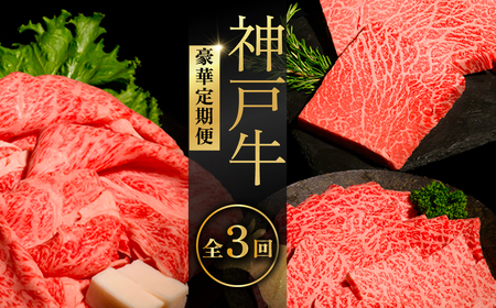 神戸牛ステーキ豪華定期便 全3回 ふるさと納税 牛肉 ブランド和牛 国産 和牛 神戸牛 神戸ビーフ 定期便 3回 ステーキ サーロイン モモ ヘレ 豪華 切り落とし もも 兵庫県 神戸 川西 川西市