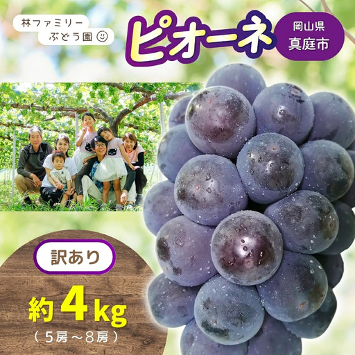 【訳あり】 ※2027年の予約です！※ 岡山県産 林ファミリーのピオーネ 約4kg（約5～8房） 【2027年先行予約】 / 岡山 真庭 ピオーネ 葡萄 ぶどう ブドウ 果物 フルーツ 新鮮 濃厚 人気 数量限定 お買い得 家庭用 お試し たっぷり ぶどう専門【hfbd020-03】
