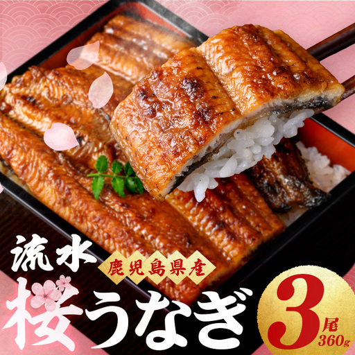柳澤 流水桜 うなぎ 蒲焼き 計3尾＜計360g＞ a4-096