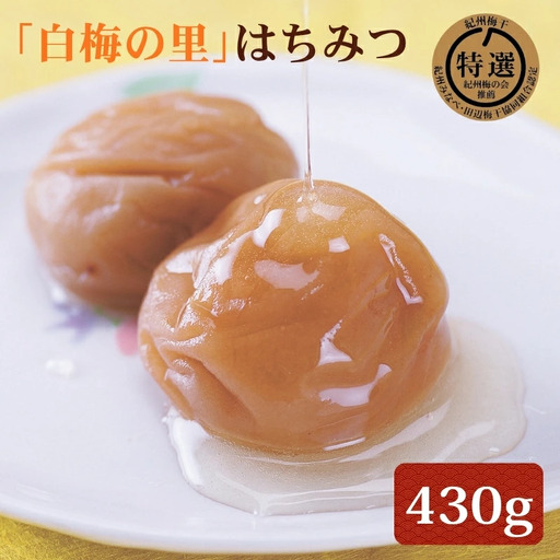 特選 紀州南高梅「白梅の里」はちみつ 430g sekifz021B【sekifz021B】
