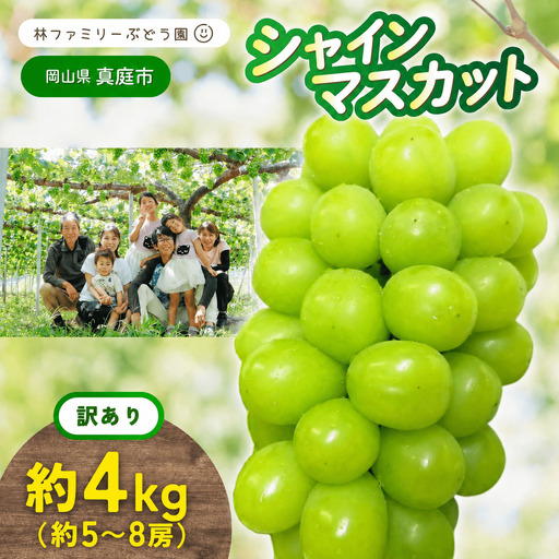 【訳あり】 シャインマスカット 岡山県産ぶどう 訳ありシャインマスカット約4kg（約5～8房） 【hfbd023-02】