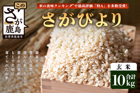 先行受付【鹿島市産】＼生産者直送／ さがびより 玄米10kg 佐賀県 鹿島市 D-249