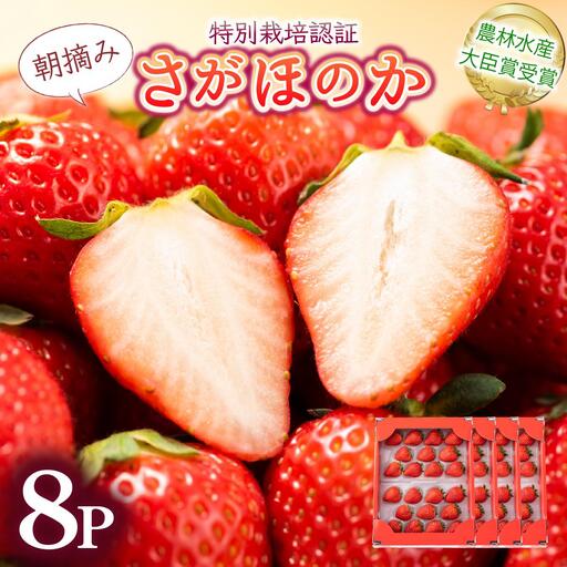 【先行予約】最高級品質”さがほのか” たっぷり1.9kg（235g×8p）