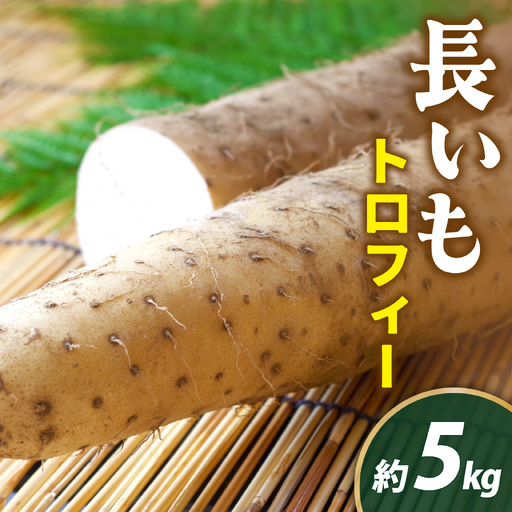 [先行予約 2026年収穫分]長いも(トロフィー) 5kg(1箱) / 長いも