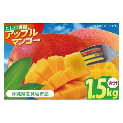 【2027年6月下旬より順次発送】沖縄県豊見城市産アップルマンゴー 約1.5kg｜マンゴー アップルマンゴー フルーツ くだもの 果物 先行予約 数量限定 おきなわ 沖縄 沖縄フルーツ 豊見城市(DJ005)
