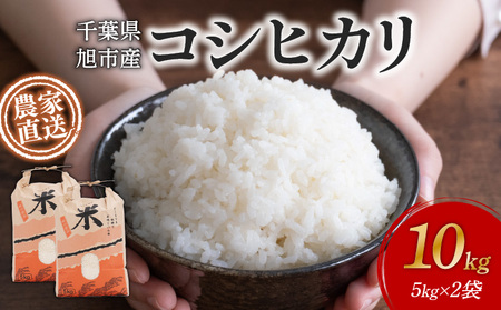 米 コシヒカリ 訳あり 約 10kg 令和8年産 白米 コシヒカリ