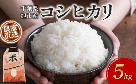 米 コシヒカリ 訳あり 約 5kg 令和8年産 白米 コシヒカリ