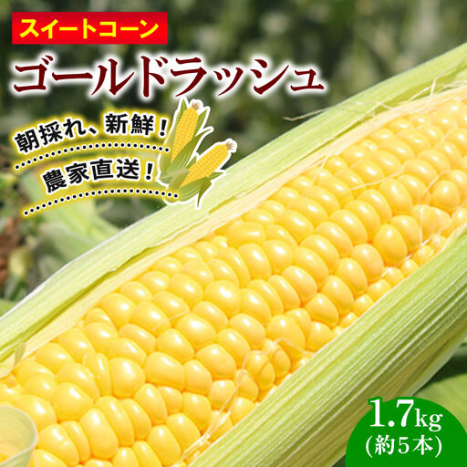 【先行予約】訳あり スイートコーン ゴールドラッシュ 5本 朝採れ コーン HY014