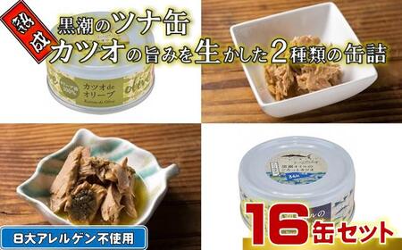ツナ 黒潮の熟成ツナ缶 2種16缶[1117]