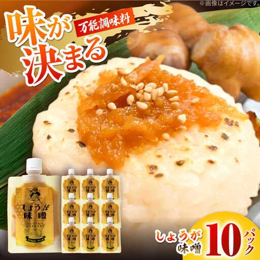 しょうが味噌 約100g×10パック[Japan Ginger 株式会社] しょうが 国産 高知 調味料 味噌汁 みそ汁 小分け パウチ[ATFD003]