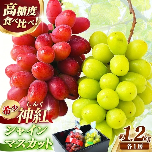 ＜足立ぶどう園＞島根県オリジナルぶどう「神紅」・シャインマスカット詰合せ（約1.2㎏）［JU米子髙島屋選定品］【ブドウ マスカット フルーツ 果物 オリジナル 品種 甘い 皮ごと 種なし 大粒 果汁 美味しい セット 詰め合わせ ギフト 贈り物 贅沢 島根県 安来市】【48-P1-01】