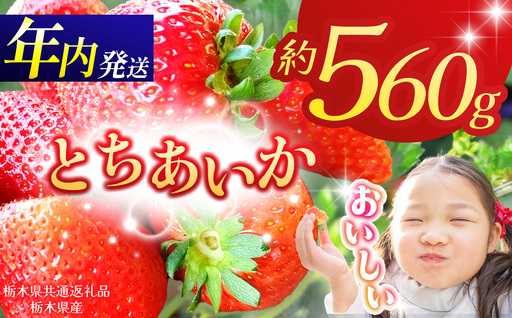 【栃木県共通返礼品】【先行予約】とちあいか 280g×2P| 年内発送 果物 くだもの フルーツ 野菜 やさい ヤサイ 苺 イチゴ いちご とちあいか 新鮮 甘い 数量 限定 美味しい 果物 共通返礼品 フルーツ デザート 栃木県 那珂川町 送料無料