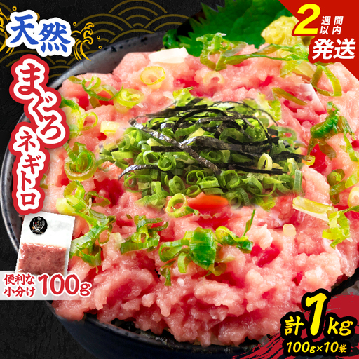 日南市油津港水揚げ 天然 まぐろ ネギトロ 計1kg 魚 魚介 マグロ 鮪 赤身 maguro 小分け 食品 加工品 国産 キハダマグロ まぐろたたき 個包装 おかず ねぎとろ丼 海鮮丼 手巻き寿司 おつまみ 冷凍 おすすめ 海産物 海鮮 宮崎県 日南市 送料無料_BC121-25