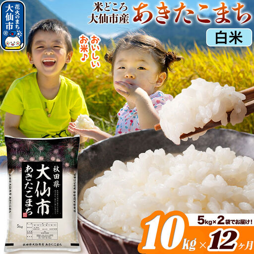 米《定期便12ヶ月》あきたこまち【白米】 米どころ秋田県大仙市産 令和7年産 精米 10kg（5kg×2袋）
