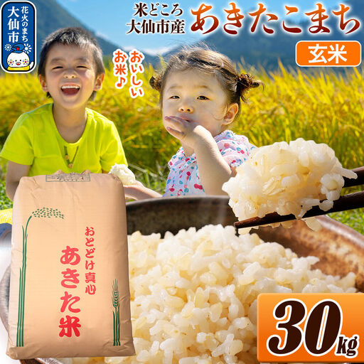 米 令和7年産【玄米】米どころ秋田県大仙市産 あきたこまち 30kg（30kg×1袋）