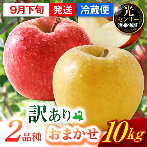 【2026年9月下旬発送】【訳あり】 旬の美味しい りんご 約10kg 青森産 【おまかせ2品種】 りんご
