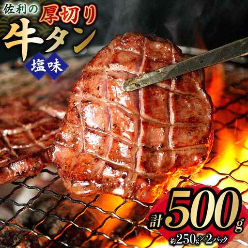 牛タン 厚切 塩味 約250g×2P 計500g