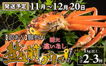 [先行予約][訳あり]越前がに 2〜3杯 (合計1kg以上) 脚折れ[11月〜12月配送]