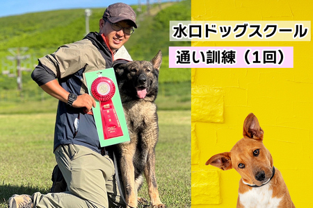 水口ドッグスクール 通い訓練 (1回) [0508]