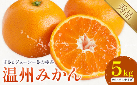 温州みかん 約5kg 日本フルーツ株式会社 熊本県 荒尾市 《10月中旬-2月下旬頃出荷》 デコポン 果物 秀品 フルーツ スイーツ デザート ギフト ご贈答
