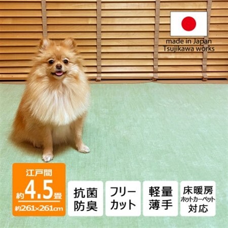 カーペット 日本製 抗菌防臭 犬 猫 ビオラ 261×261cm 江戸間 4.5畳 グリーン【1640012】