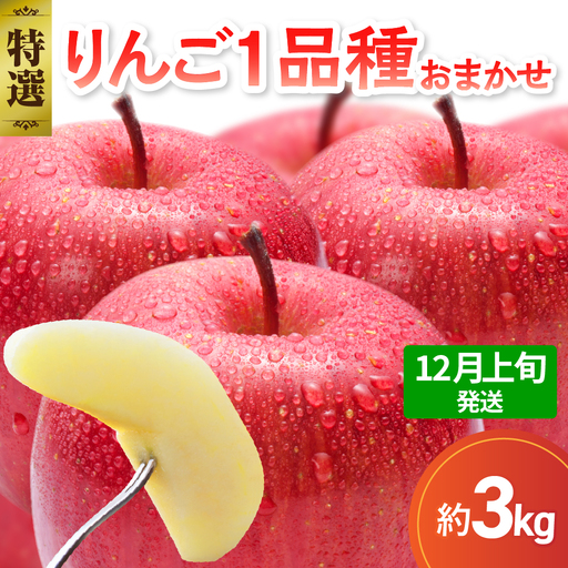 【2026年12月上旬発送】【特選】 りんご 約3kg おまかせ1品種 青森産 りんご