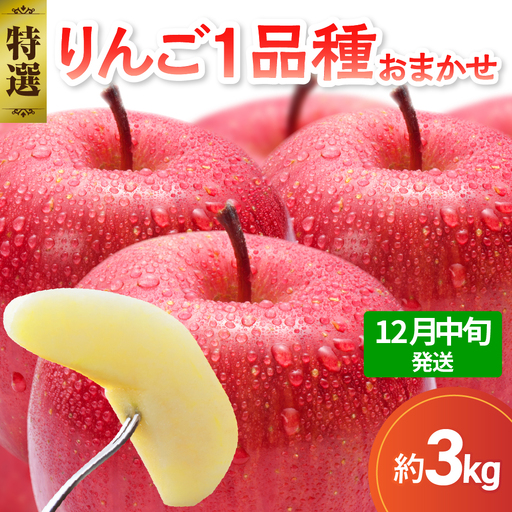 【2026年12月中旬発送】【特選】 りんご 約3kg おまかせ1品種 青森産 りんご