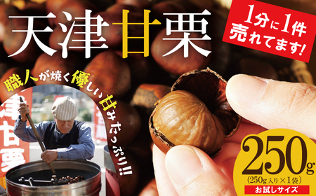 [お試し]この道50年の職人が焼く、やさしい甘みたっぷりの「天津甘栗」250g! 焼きたて 栗 くり 栗爪 殻付き お菓子 おつまみ 人気 高リピート 小分け 栗ご飯 栗きんとん 甘露煮
