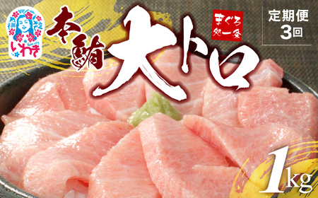 【定期便/計3回】本マグロ大トロずっしり1kg（計3kg）【DG004-t3】