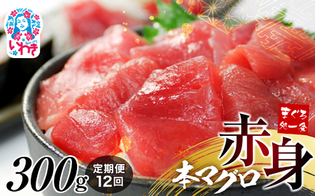 【定期便/計12回】本マグロ赤身300g（計3.6kg）【DG009-t12】
