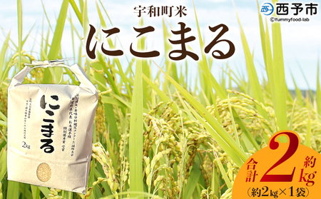 [令和7年産 西予市宇和町産 にこまる 約2kg] お米 コメ 白米 精米 単一原料米 ご飯 晩稲 大粒 精米 ご飯 ライス 穀物 ニコマル 特産品 愛媛県 西予市 宇和町 三好フク 愛媛県 [常温]『2025年10月中旬より順次出荷予定』UMH0013