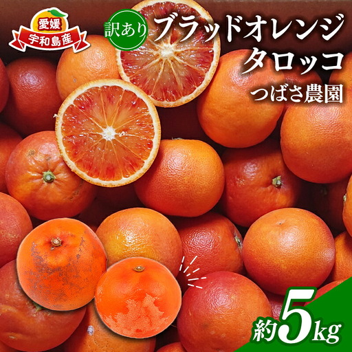 訳あり ブラッドオレンジ タロッコ 5kg つばさ農園 オレンジ B010-048015