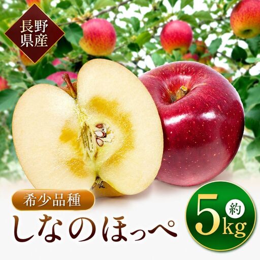 【先行受付】サンふじの血を引く信州オリジナル新品種。潤沢な蜜入りに期待！ シナノほっぺ 5kg