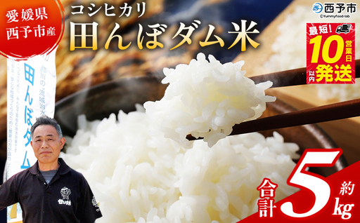 ＜令和7年産 愛媛県西予市産 コシヒカリ 田んぼダム米 5kg＞※最短10営業日以内に順次発送予定 5キロ こしひかり 西予応援米 宇和米 お米 コメ こめ 白米 精米 米 国産 愛媛県産 宇和町産 和みファーム 愛媛県 西予市【常温】UWN0001