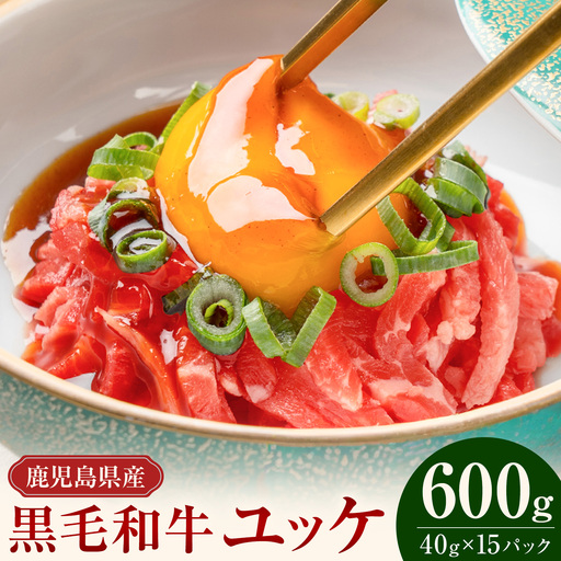 鹿児島県産黒毛和牛ユッケ 600g 40g×15パック LRプラスK《90日以内に出荷予定(土日祝除く)》鹿児島県 さつま町 鹿児島県産 黒毛和牛 ユッケ 生食用 小分け タレ付き