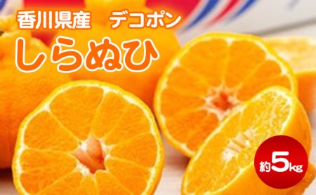 しらぬひ 約5kg デコポン 果物類 みかん 柑橘類 フルーツ