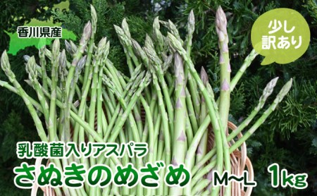 令和8年産 はなまる農園の乳酸菌入りアスパラ「さぬきのめざめ」少し訳あり 1kg(M〜L) 野菜セット 野菜 アスパラガス