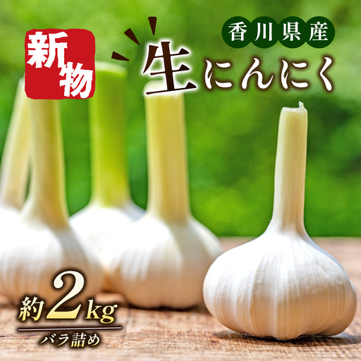にんにく 生 香味野菜 五色青果 にんにく【2kg バラ詰め】 【46311893】