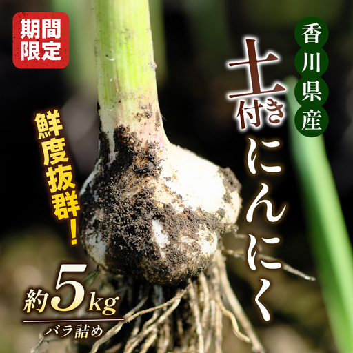 にんにく 生 土付き 香川県産 にんにく【5kg バラ詰め】 【46311892】